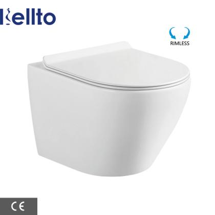 Wall mounted toilet