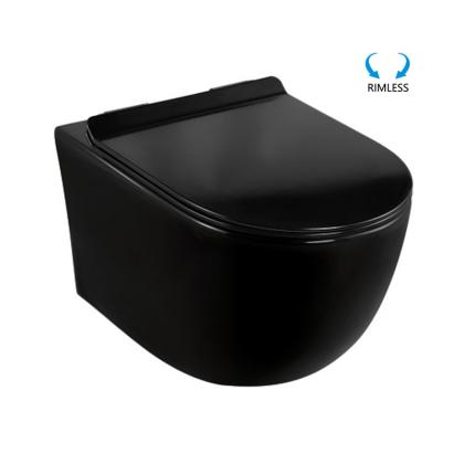 Black toilet in wall tank